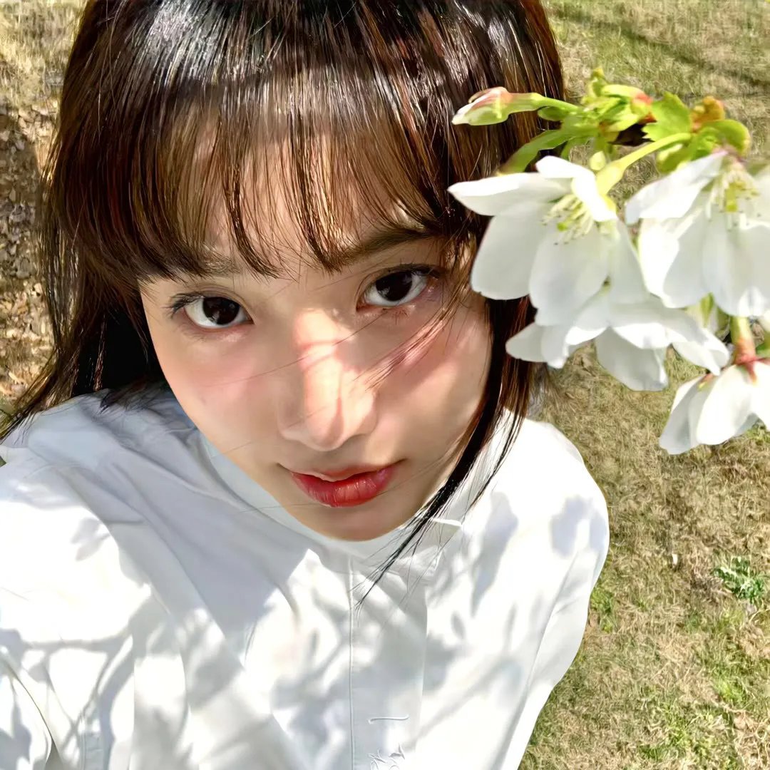 风花
