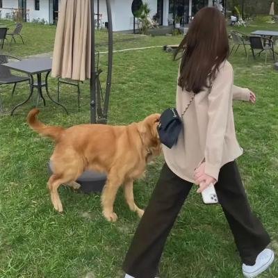 玫瑰楼迷影